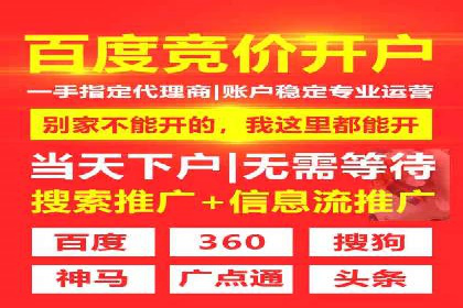 金融行业SEM推广的挑战与机遇